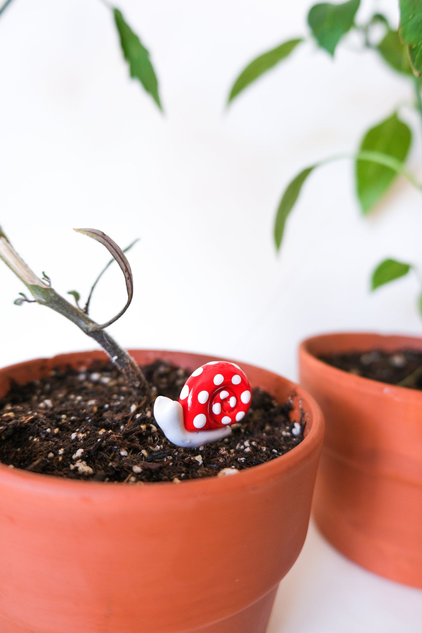 Fairy Garden Snail Plant Pick