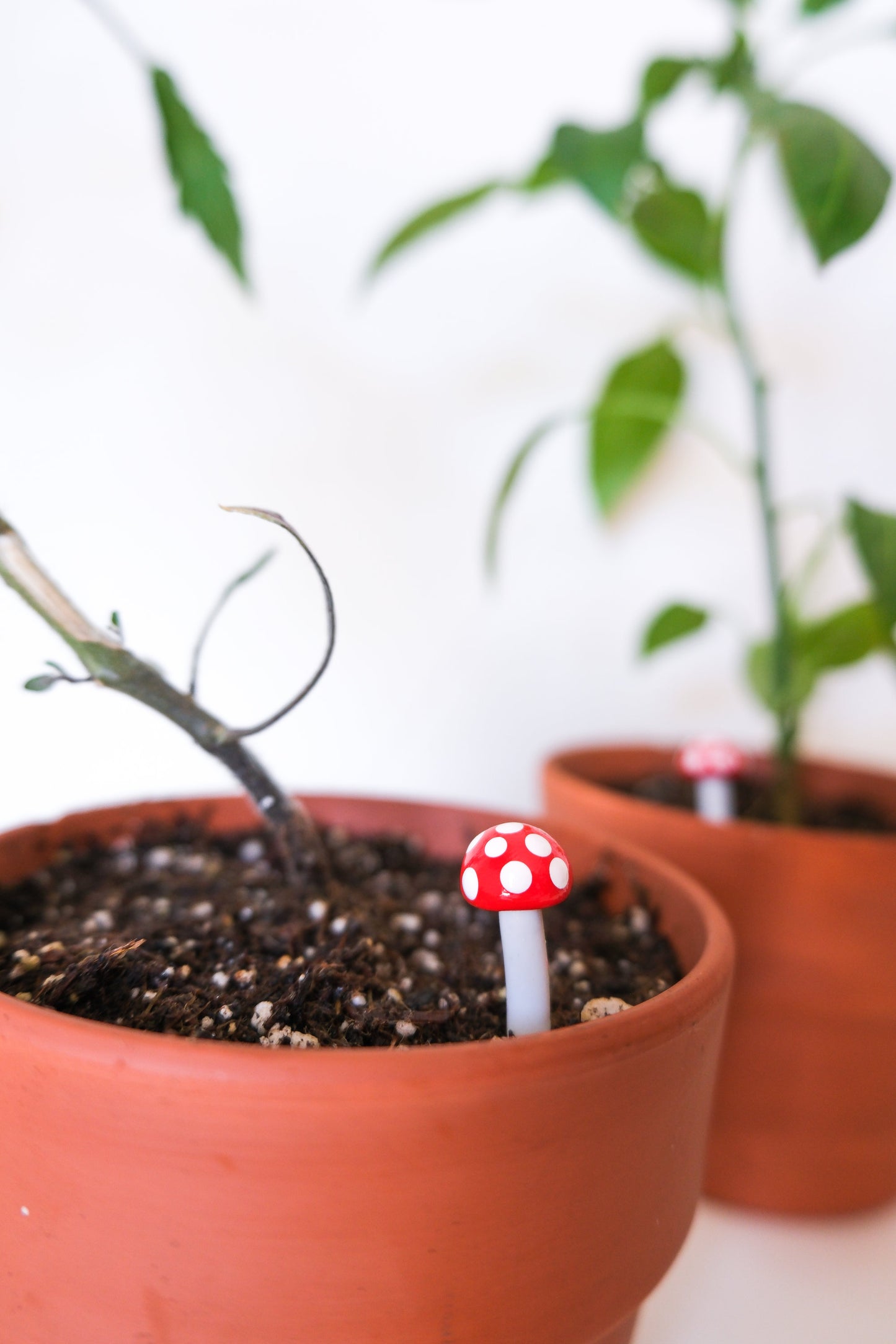 Fairy Garden Mushroom Plant Pick Set