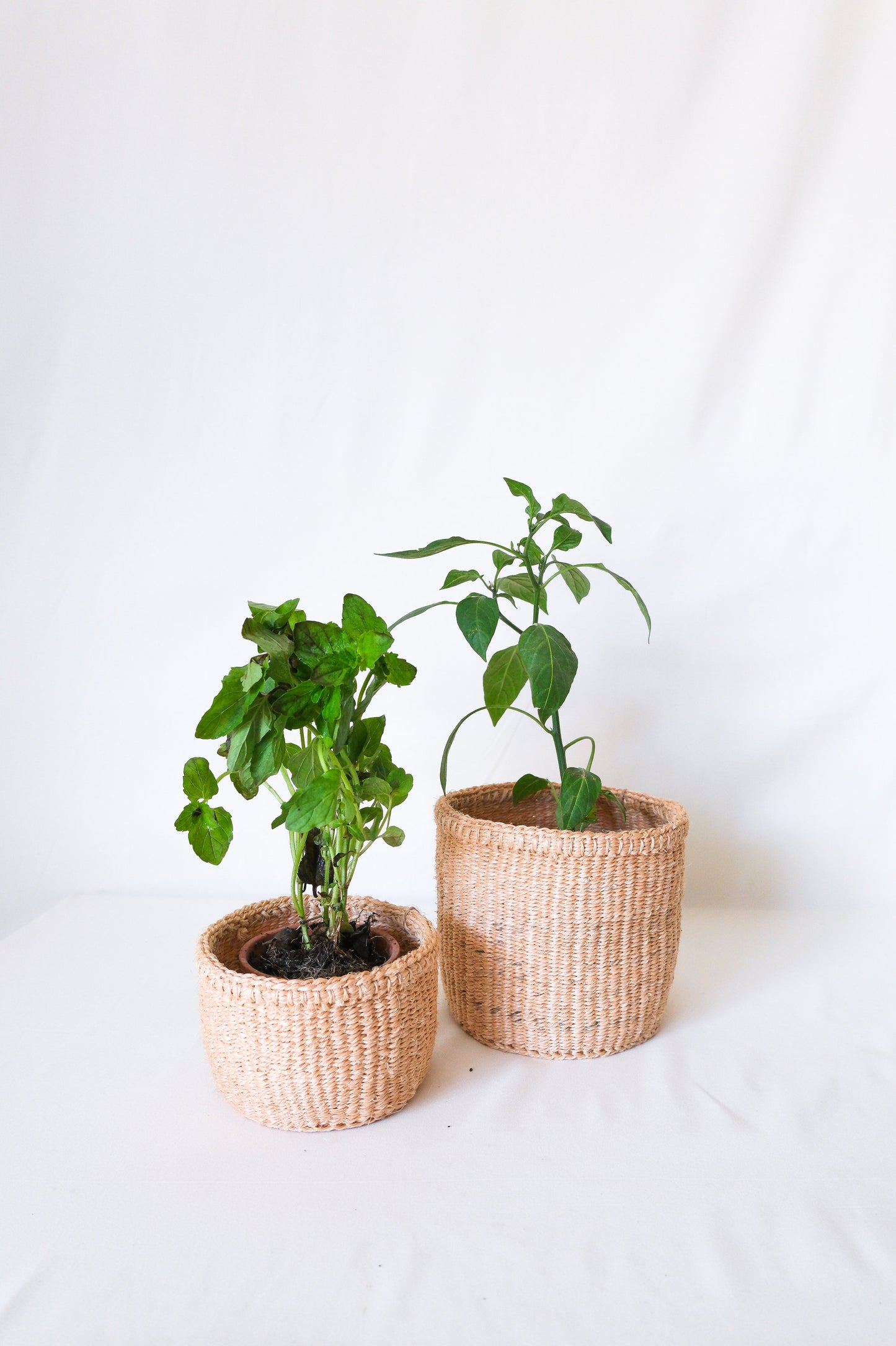 Woven Plant Basket