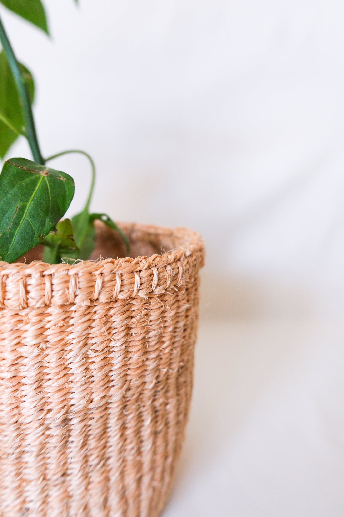 Woven Plant Basket