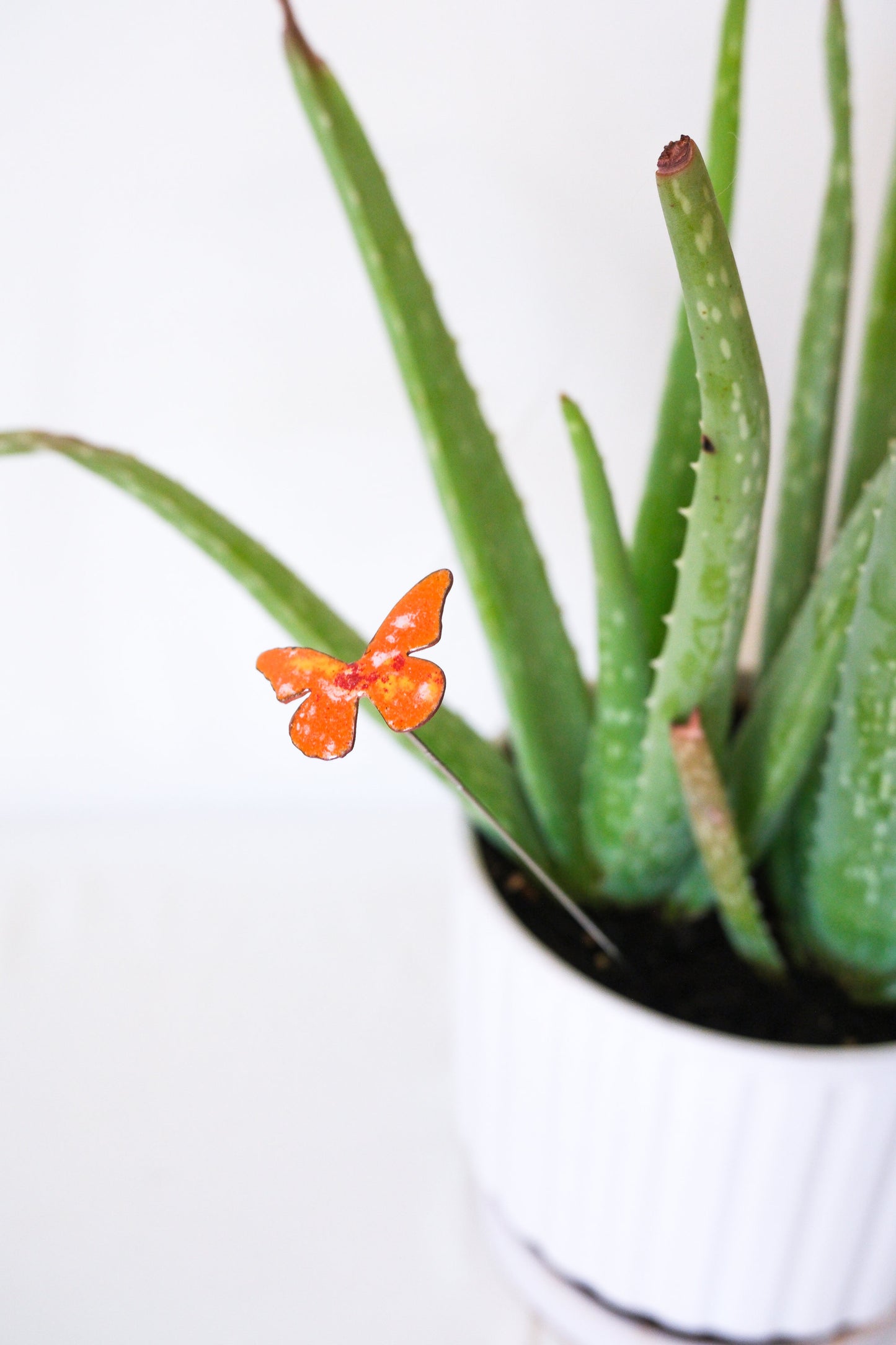 Mini Butterfly Enamel Garden Stake