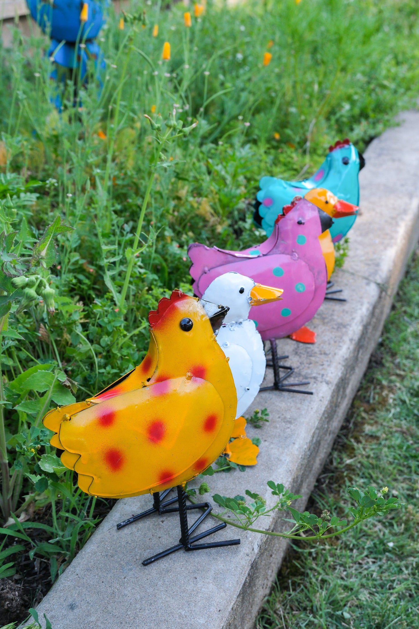 Metal Garden Chicken Yard Art