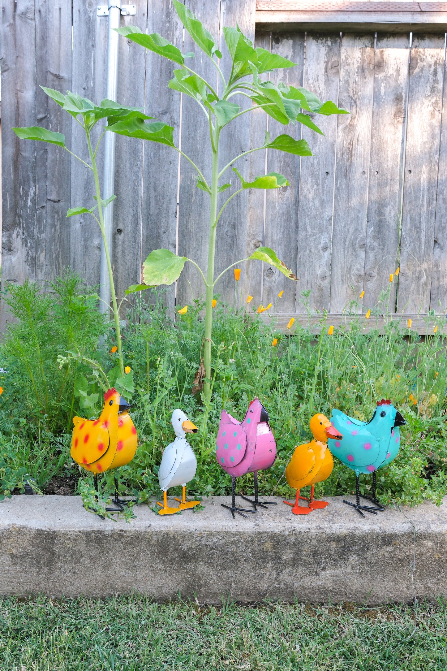 Metal Garden Chicken Yard Art