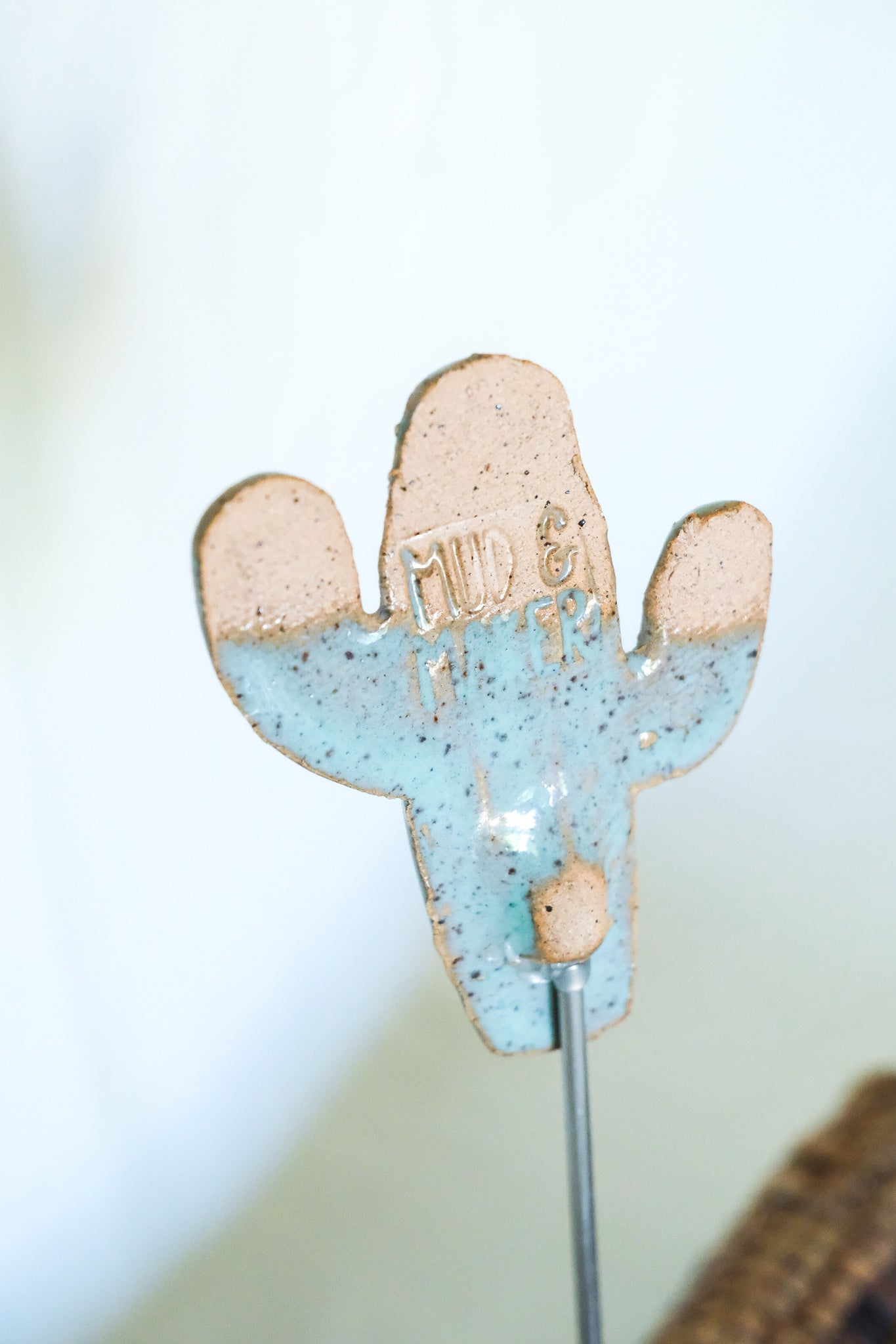 Cactus Garden Stake
