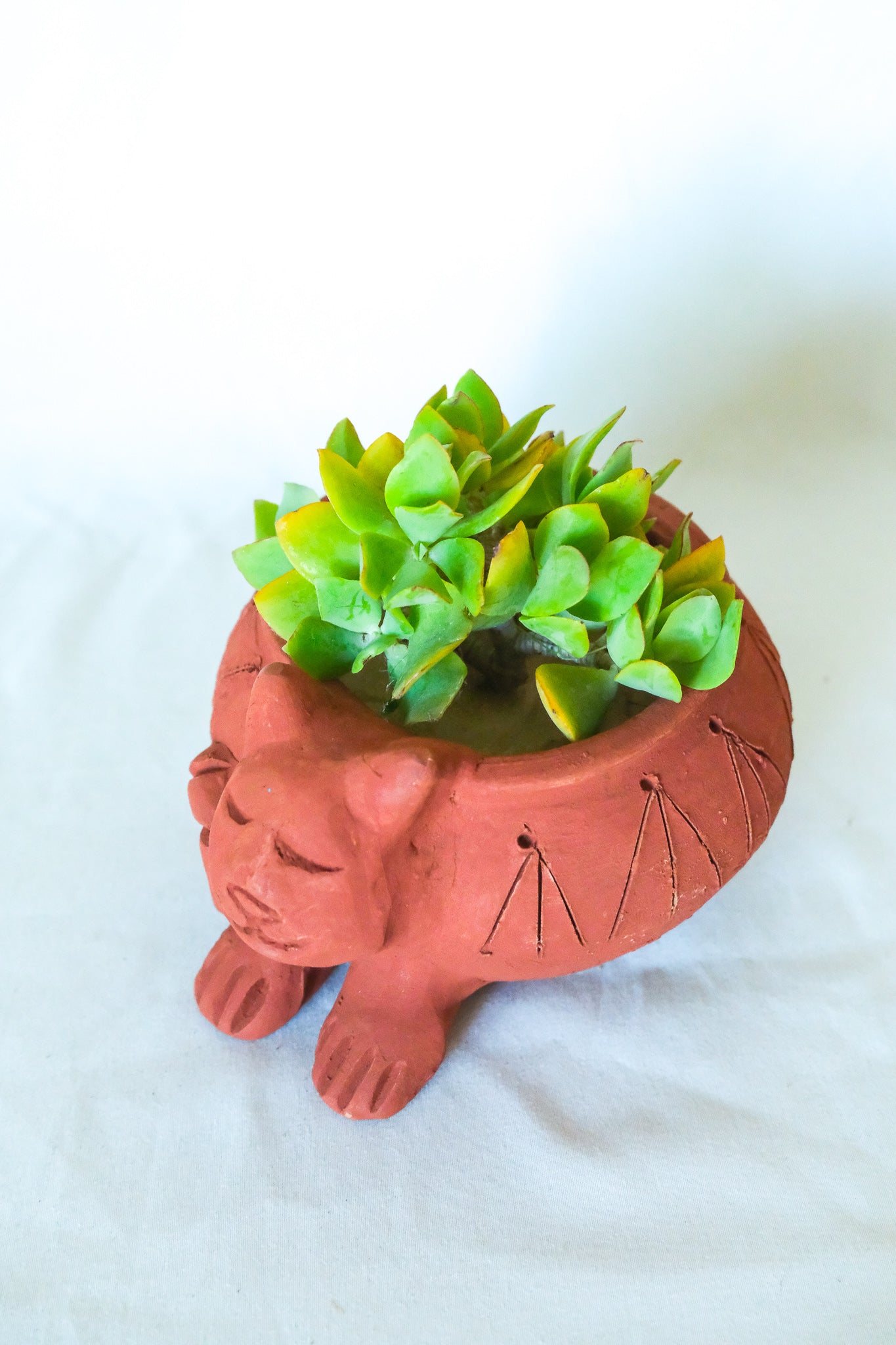 Terra Cotta Cat Planter