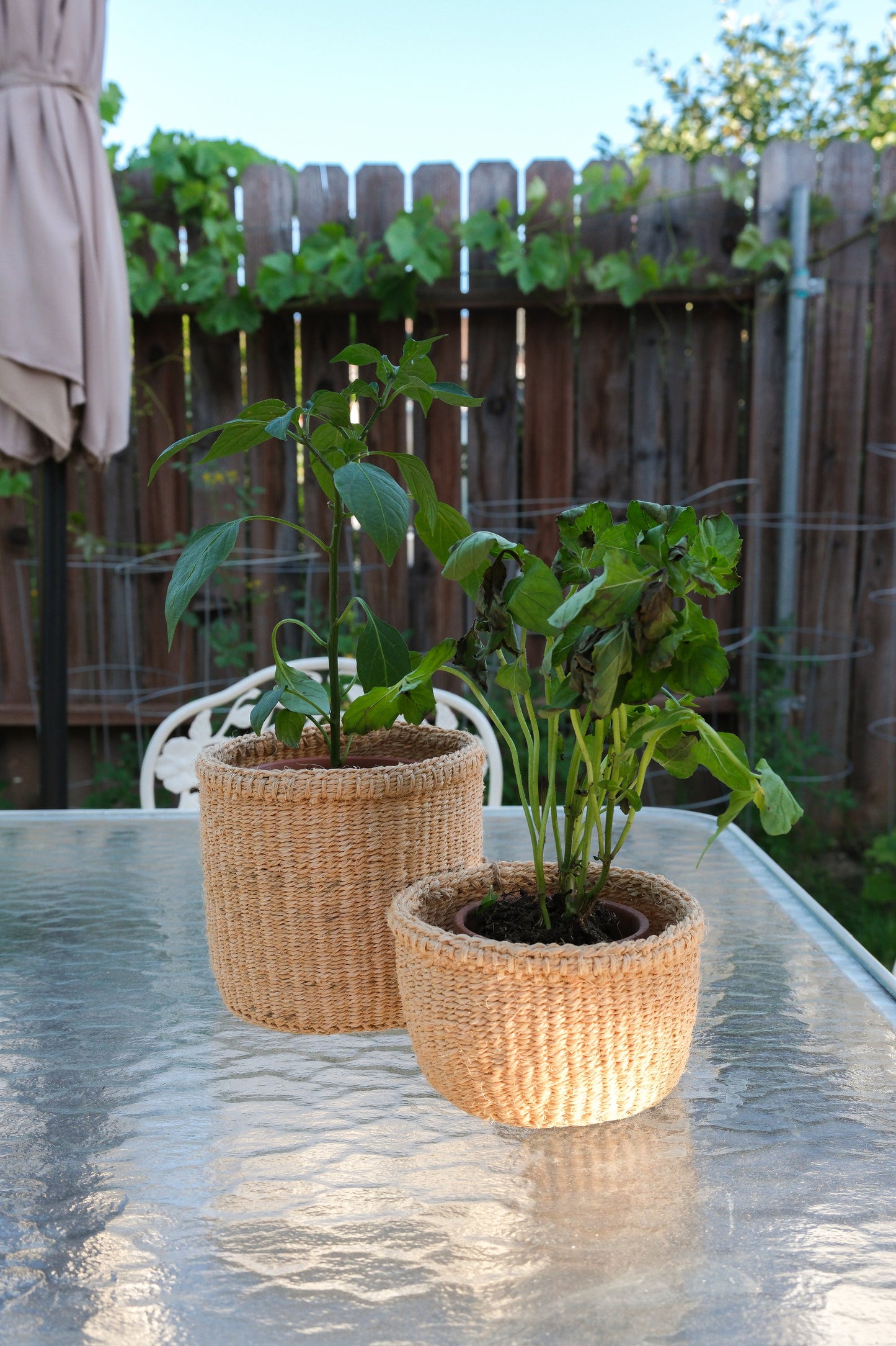 Woven Plant Basket
