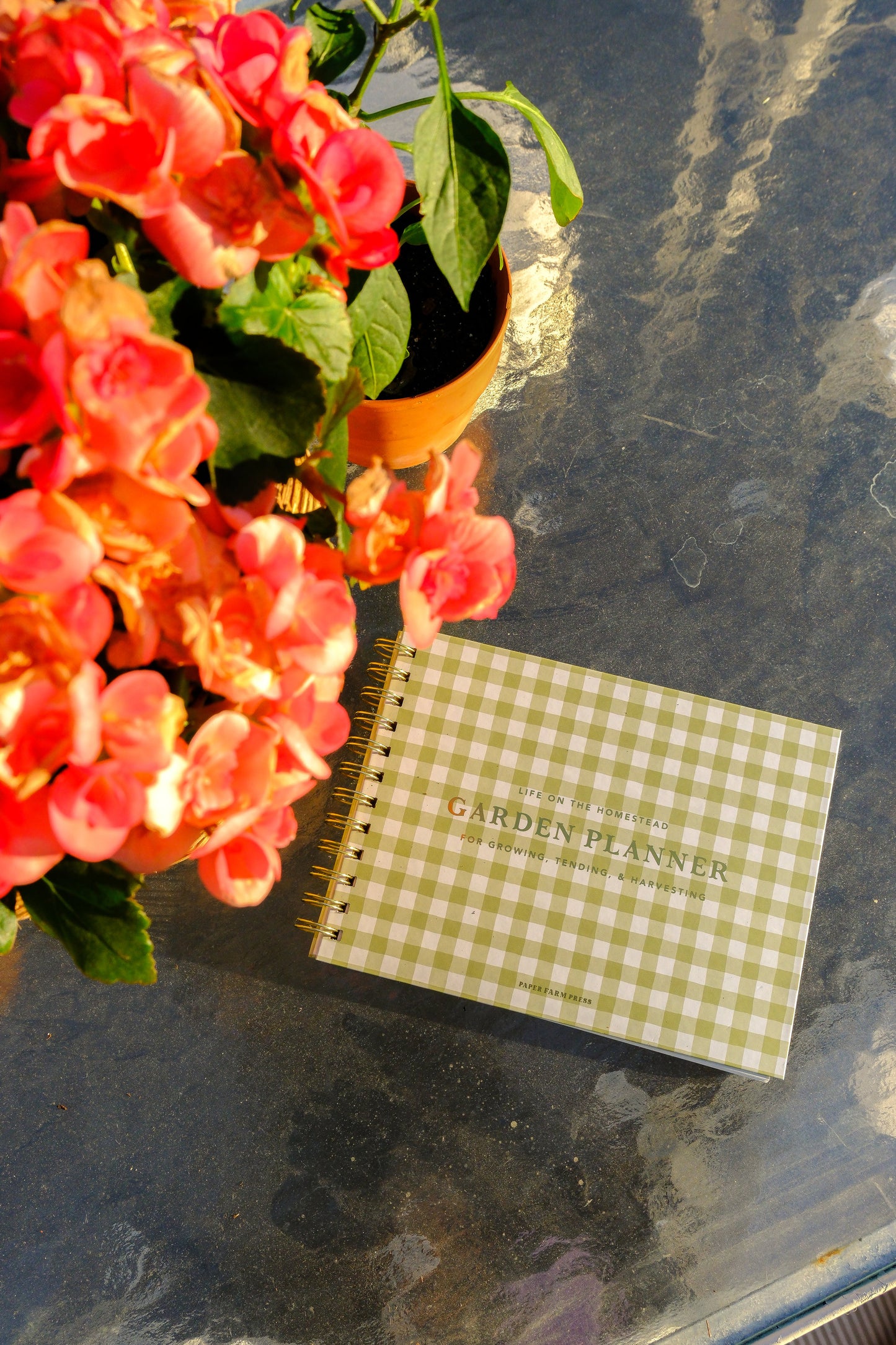 Gingham Garden Planner