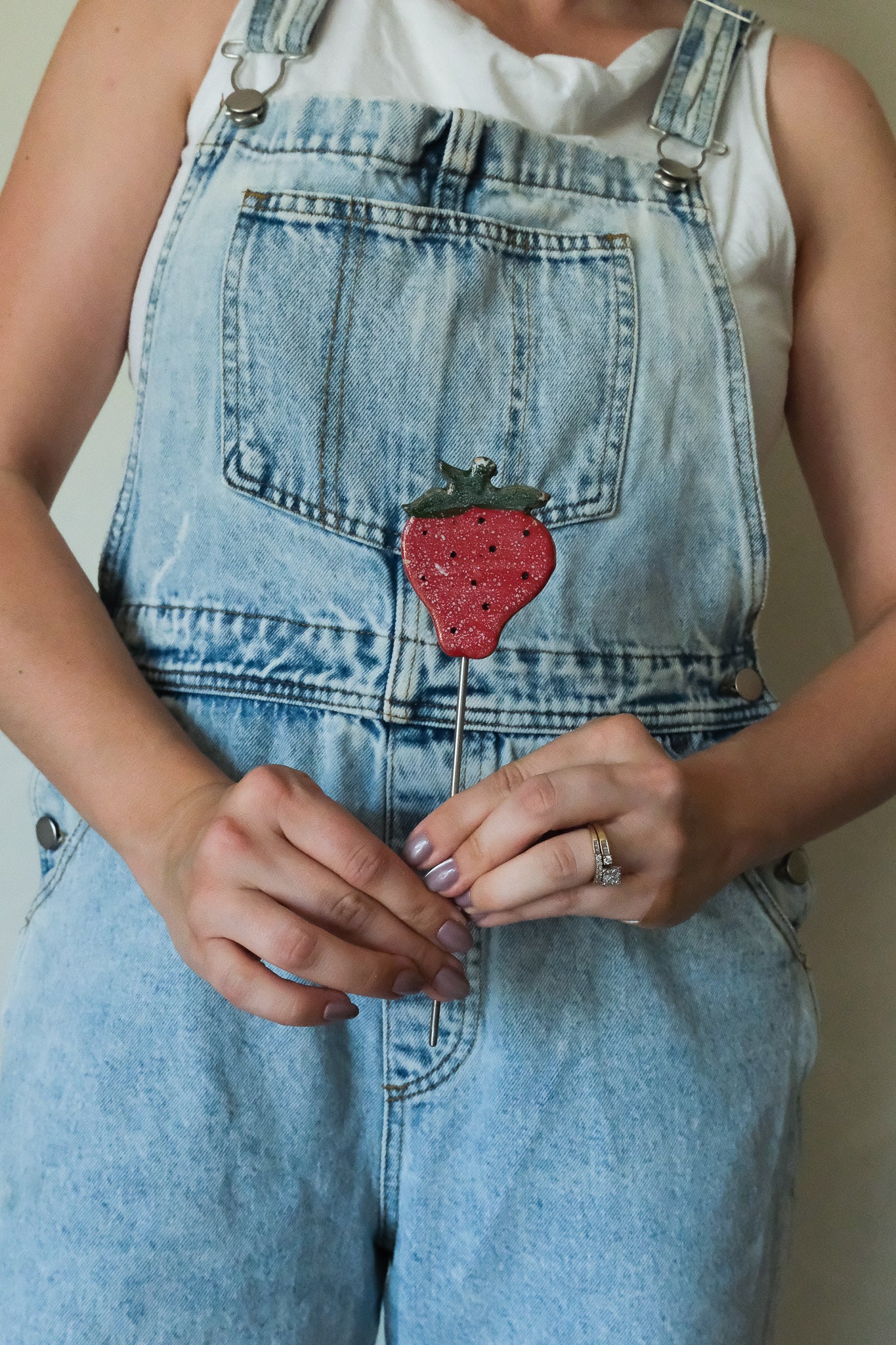Strawberry Garden Stake