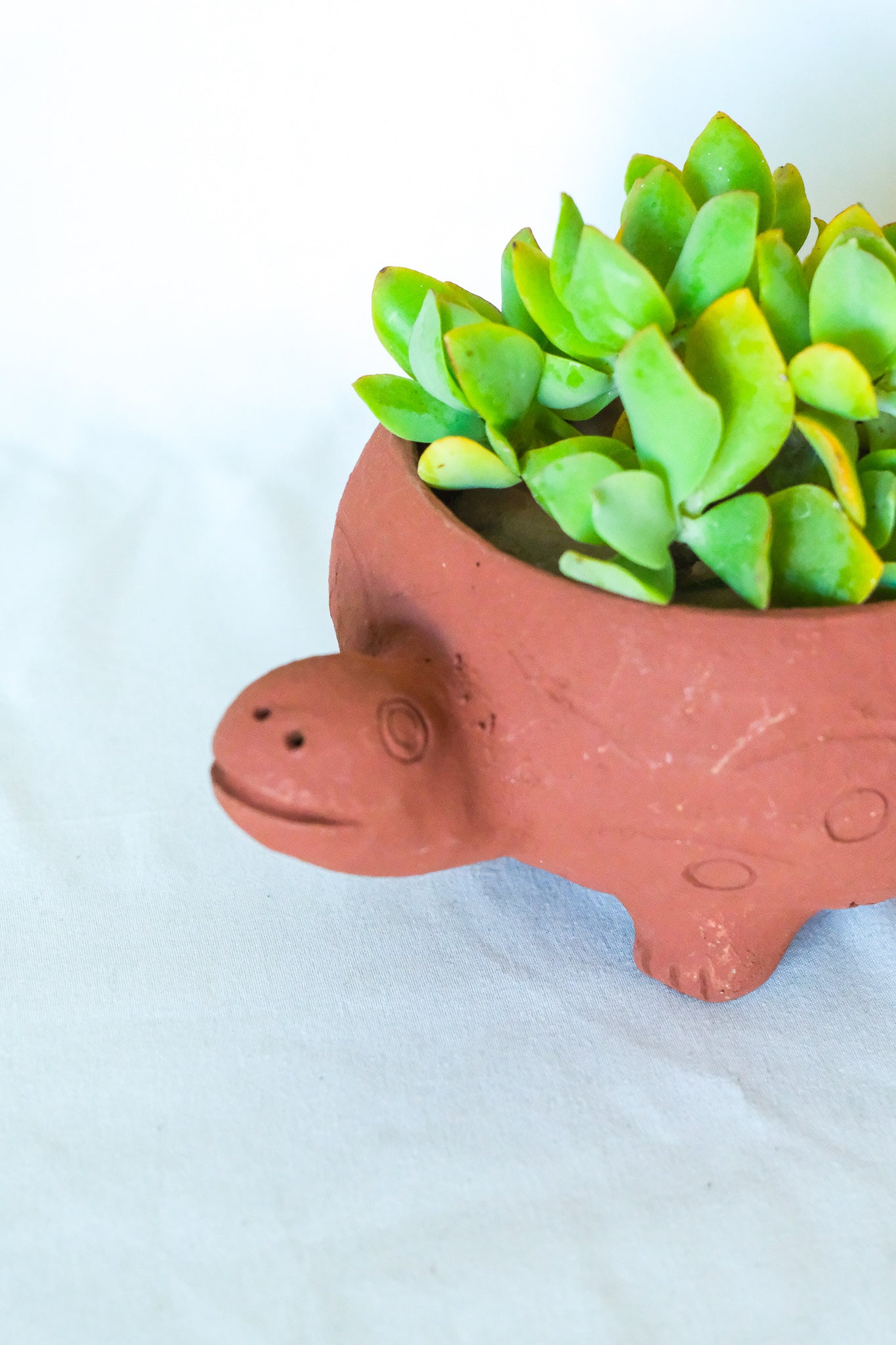 Terra Cotta Turtle Planter