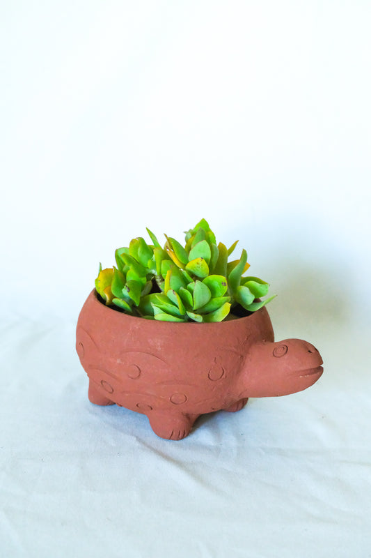 Terra Cotta Turtle Planter