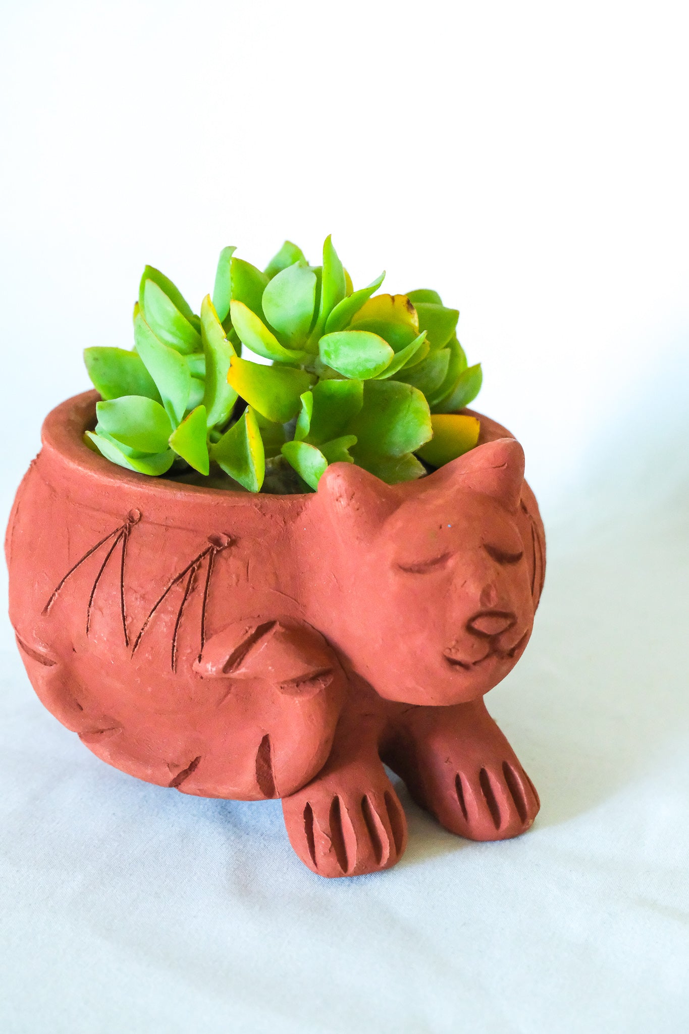 Terra Cotta Cat Planter