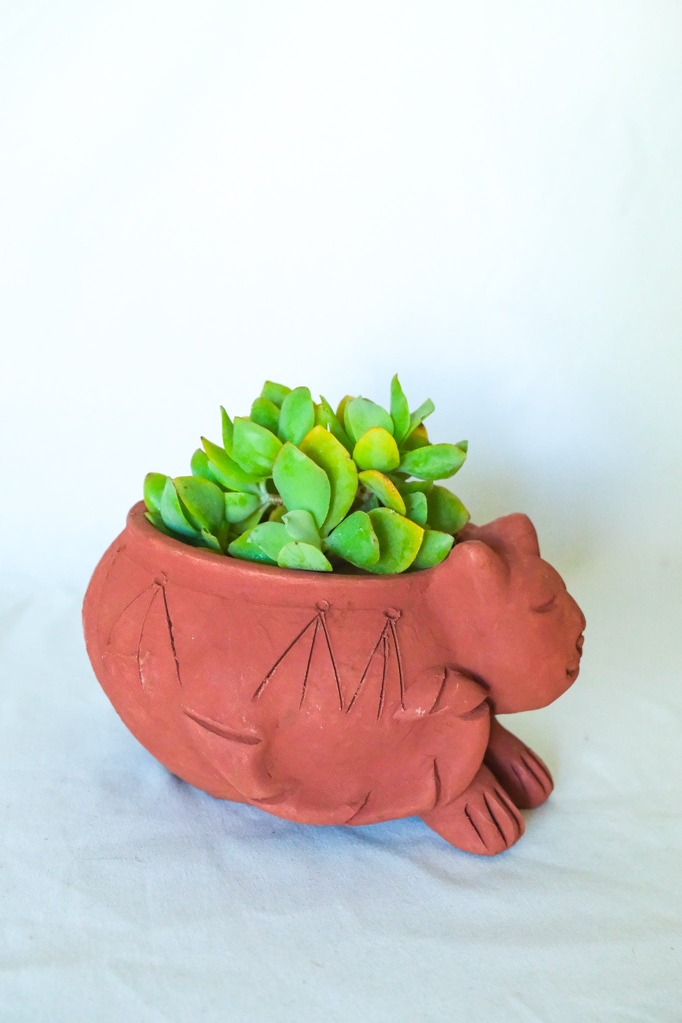 Terra Cotta Cat Planter