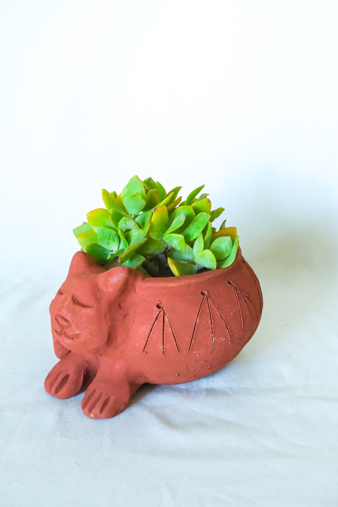 Terra Cotta Cat Planter