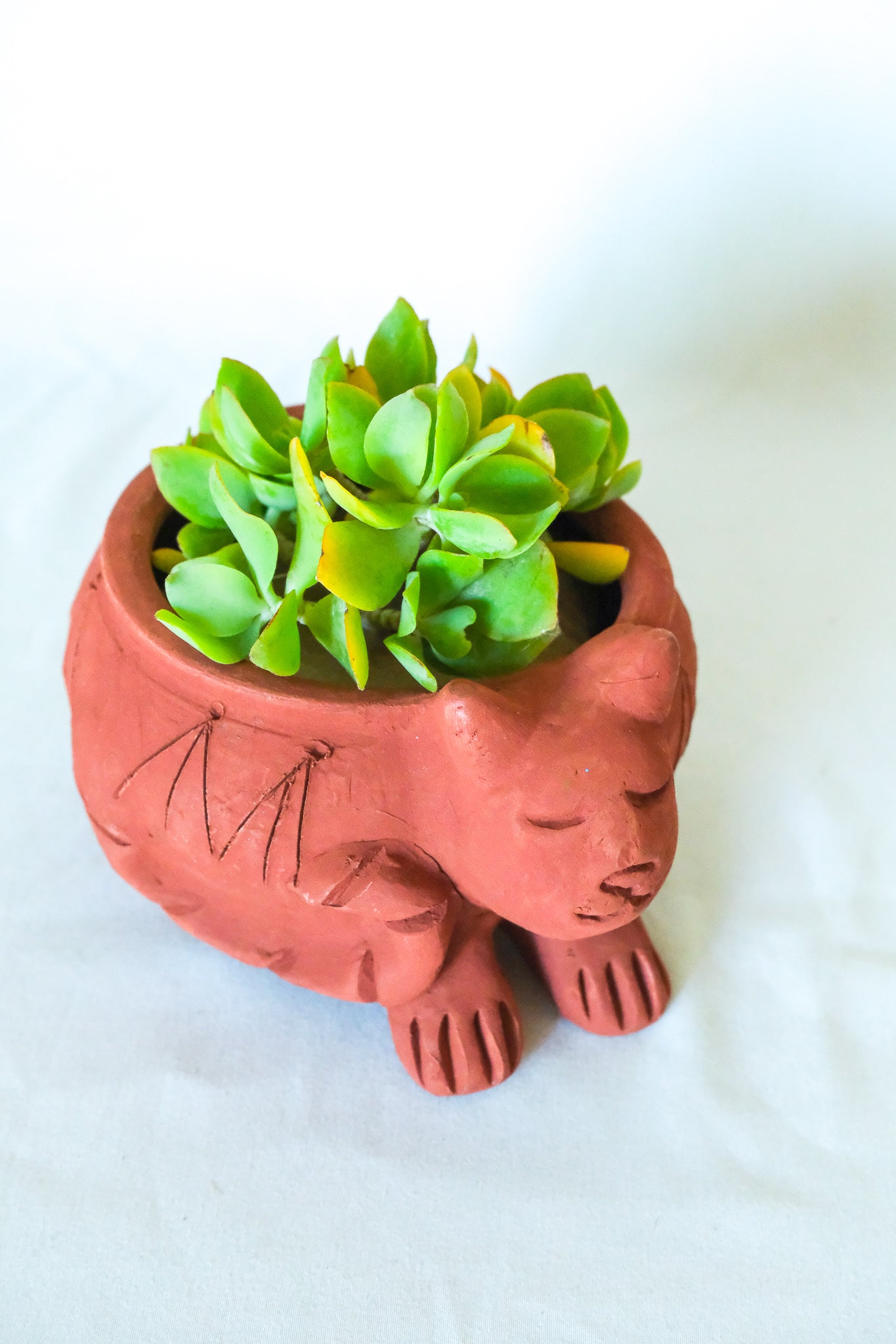 Terra Cotta Cat Planter