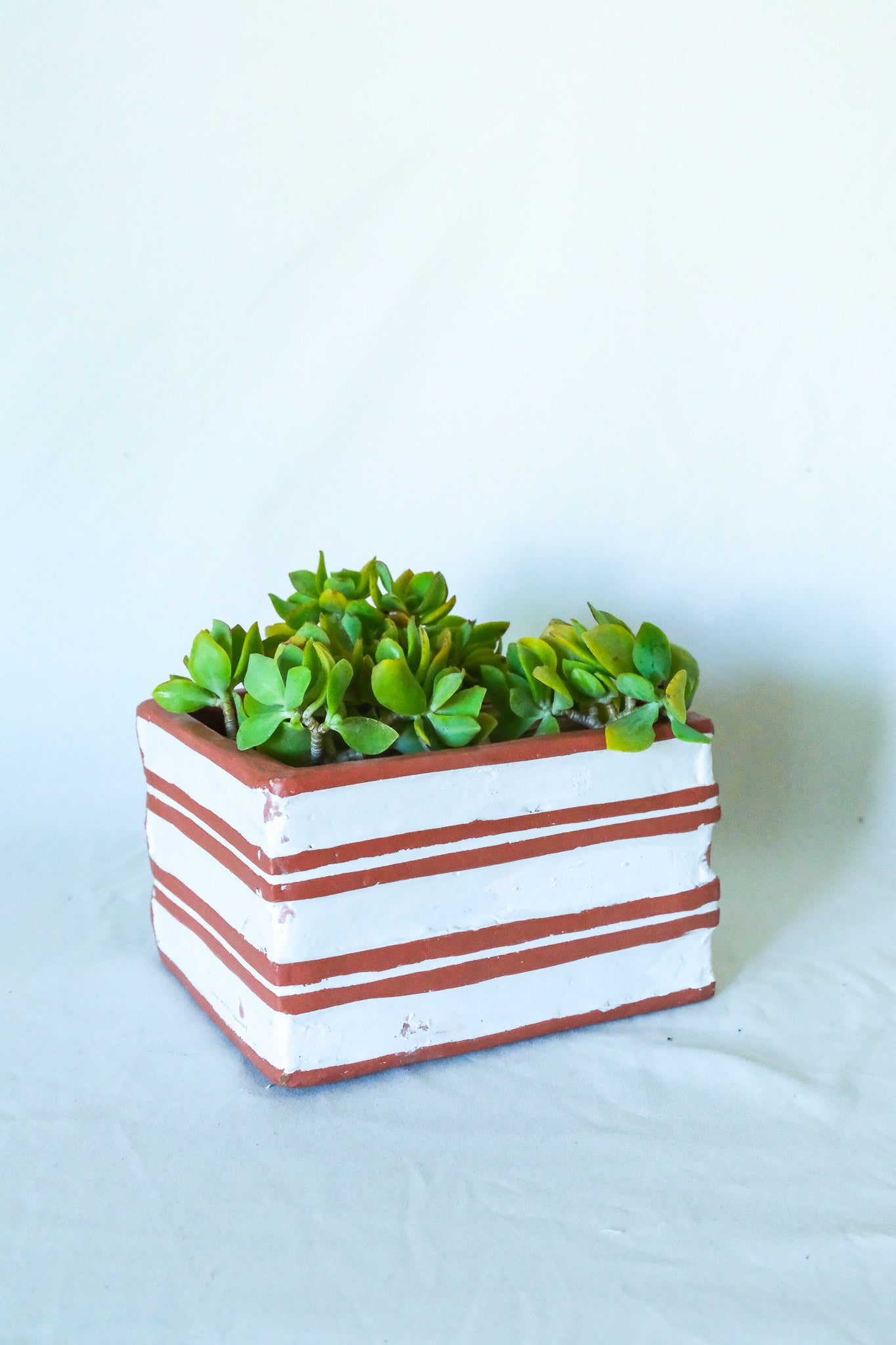 Terra Cotta Book Planter