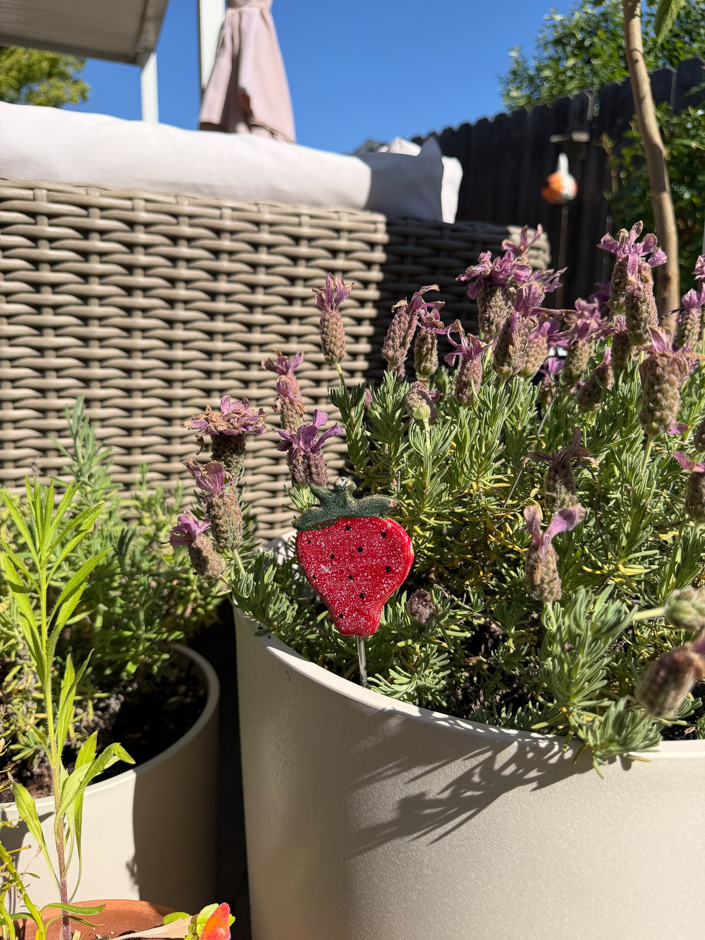 Strawberry Garden Stake