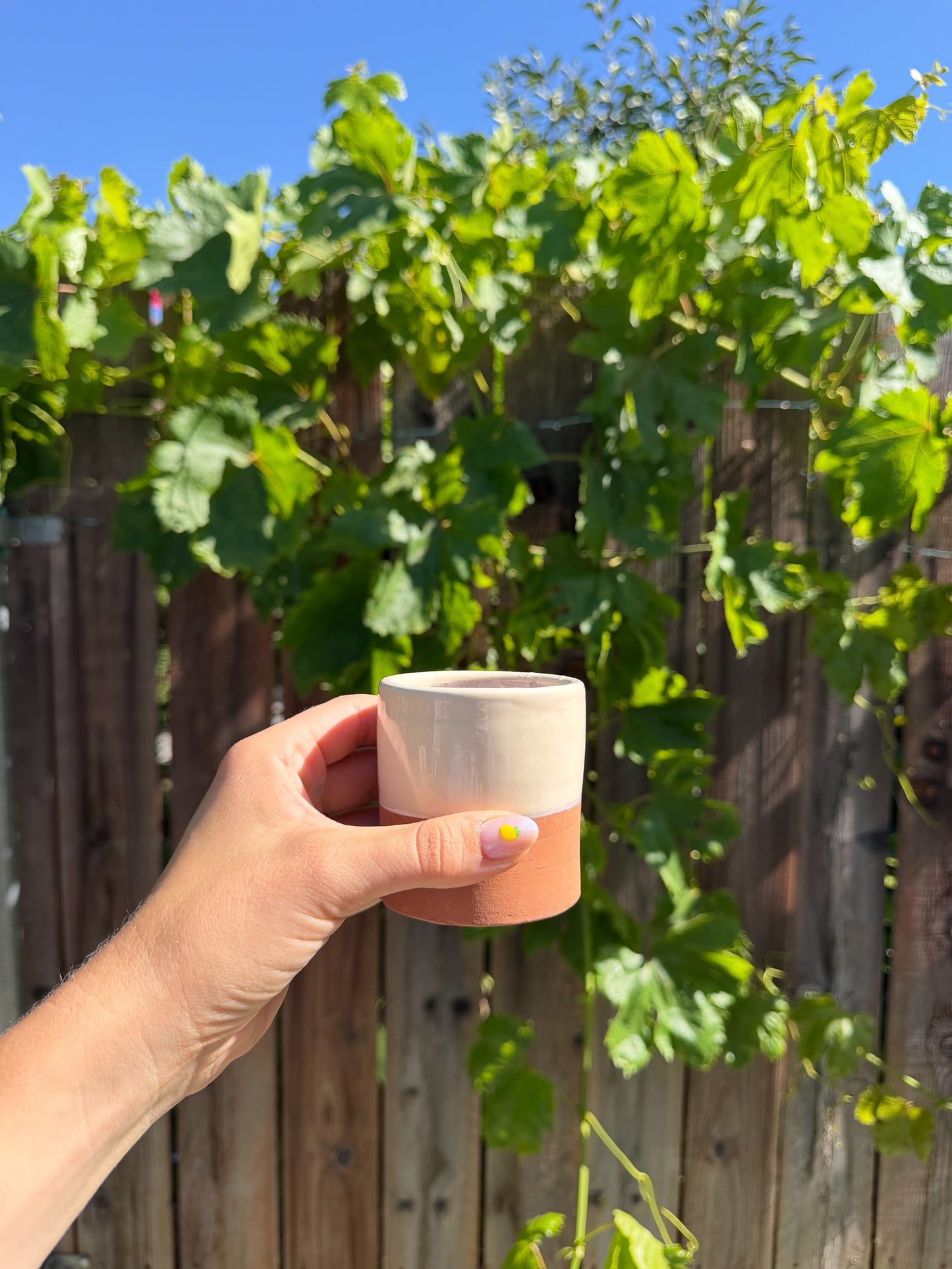 Terracotta Cup