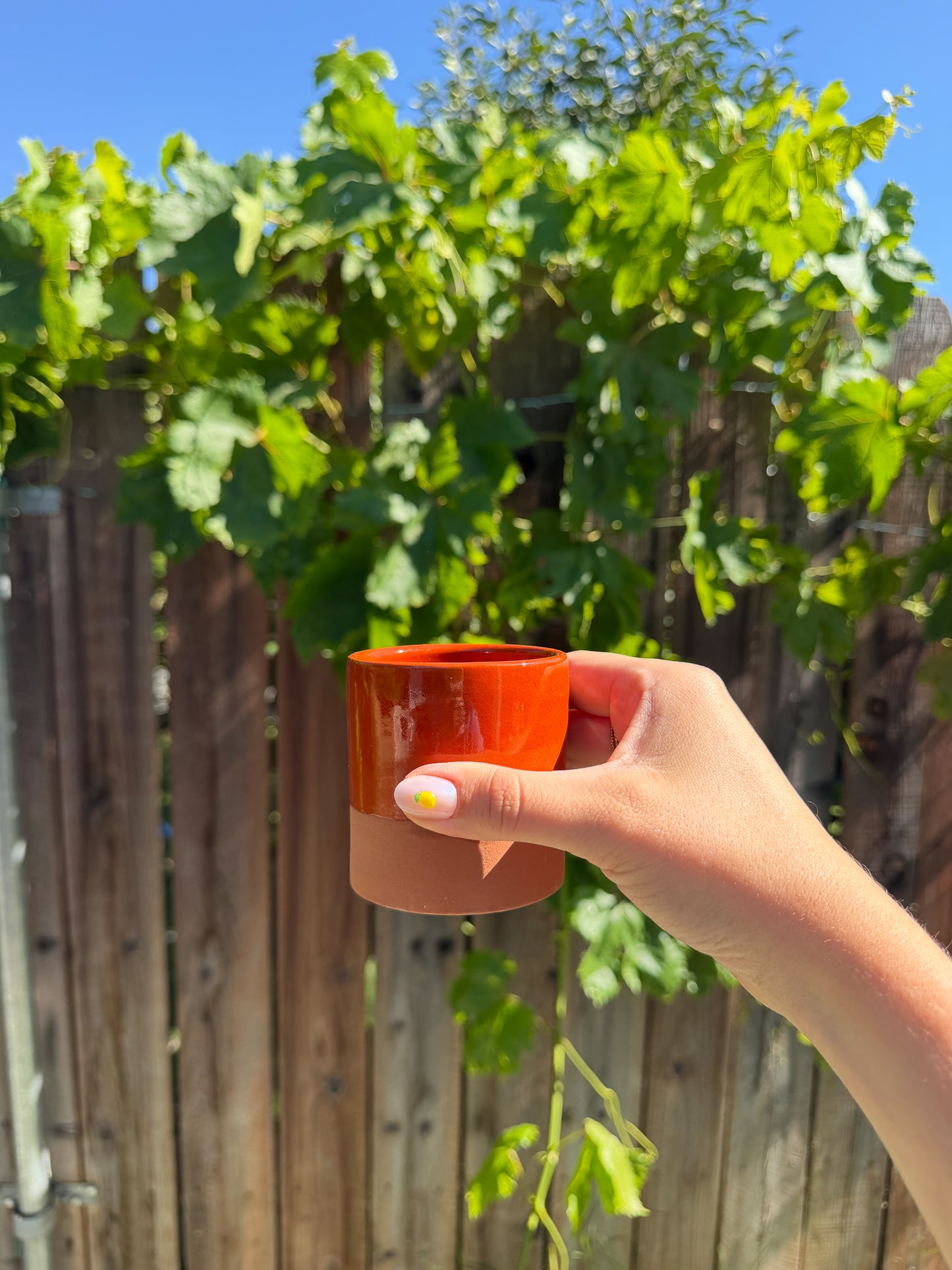 Terracotta Cup